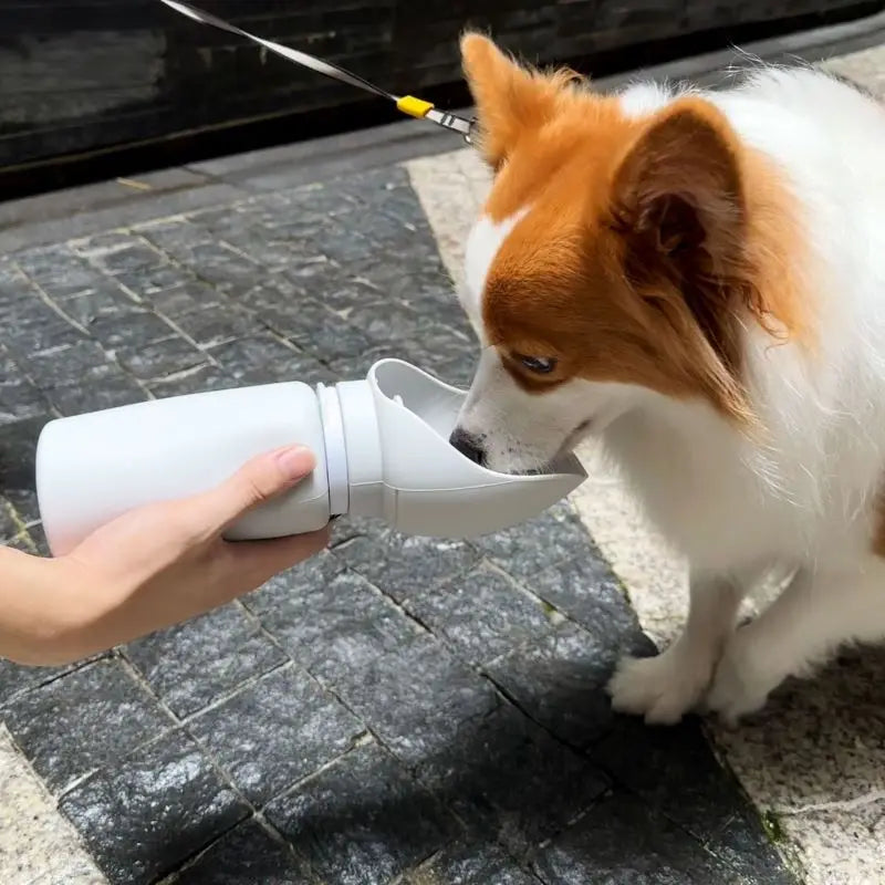 Full-Fold Pet Water Bottle
