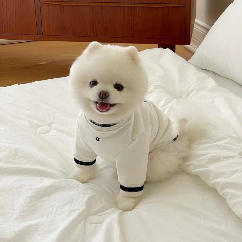 BellePup Varsity Sweatshirt