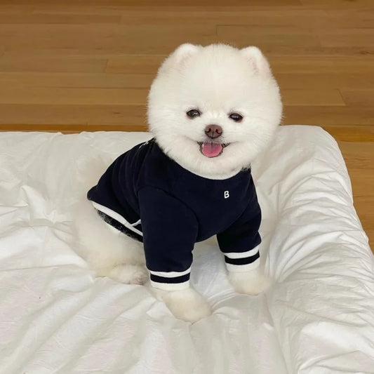 BellePup Varsity Sweatshirt