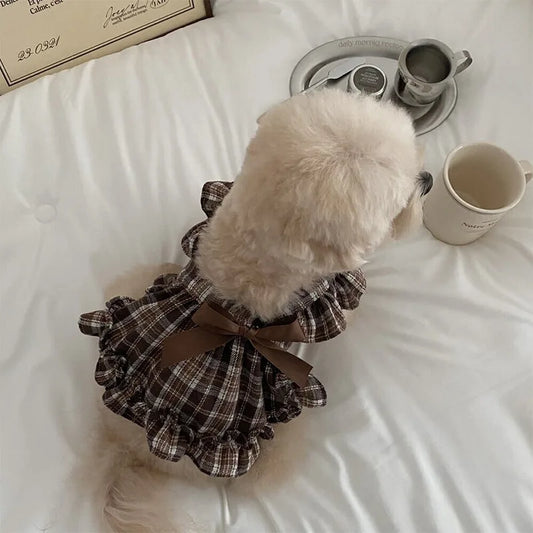 Small dog wearing a plaid dress sitting on a bed with a cup and saucer.
