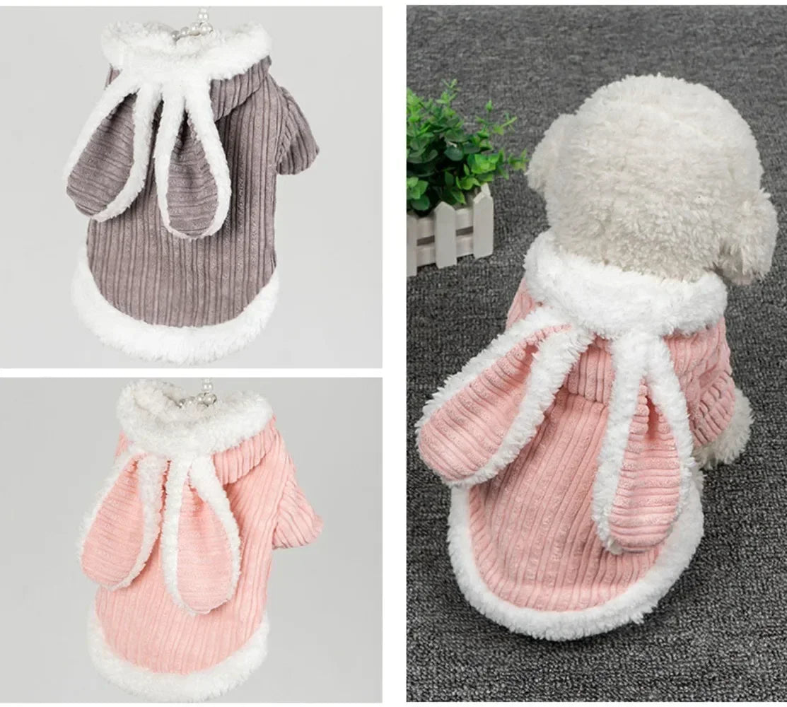 Bunny Doggy Hoodie