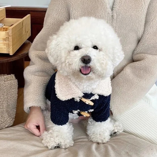 Person holding a small white dog wearing a navy coat in a cozy indoor setting.