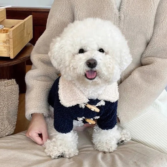 Person holding a small white dog wearing a navy coat in a cozy indoor setting.